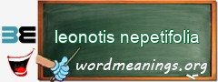 WordMeaning blackboard for leonotis nepetifolia